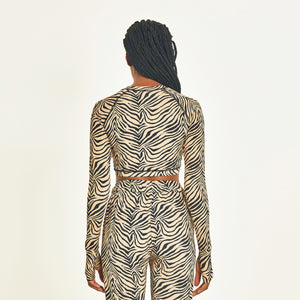 Top Zebra
